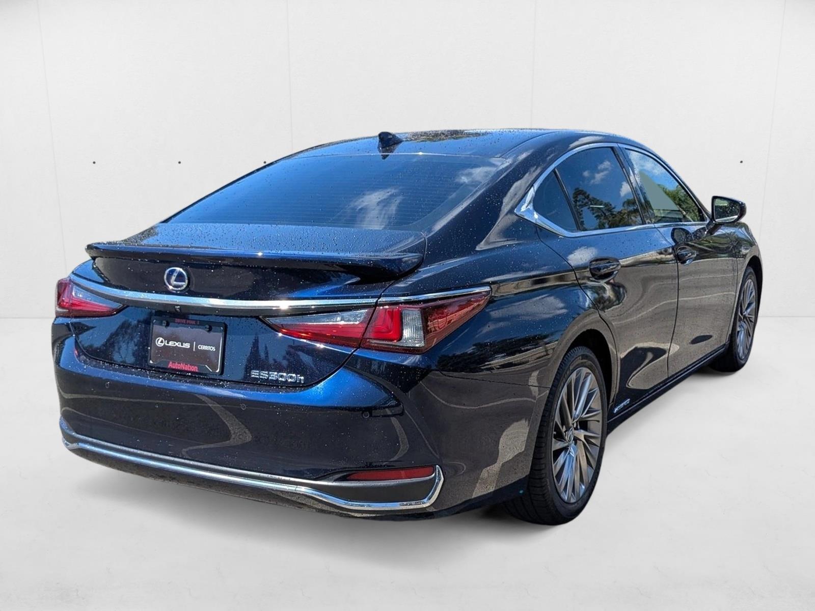 2021 Lexus ES Luxury photo 5