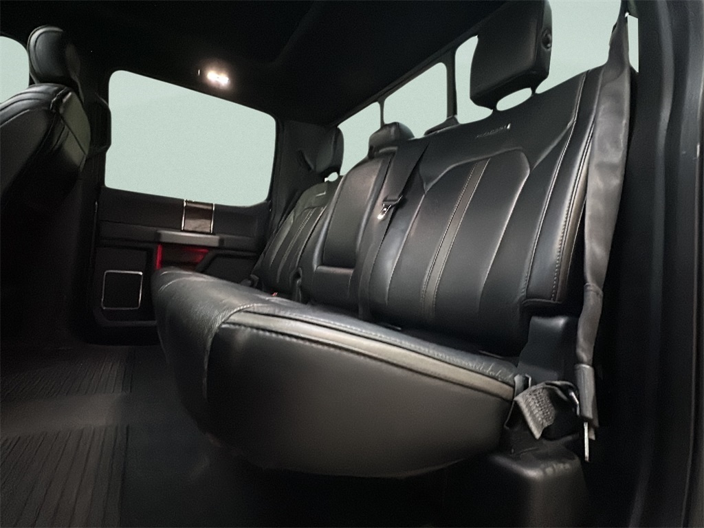 2017 Ford F-150 Platinum photo 10