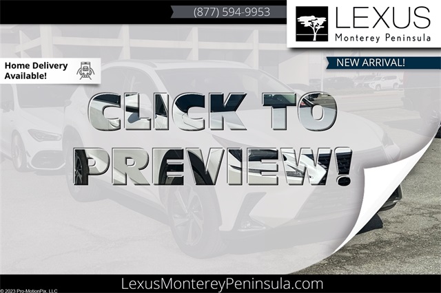 2019 Lexus NX 300's photo