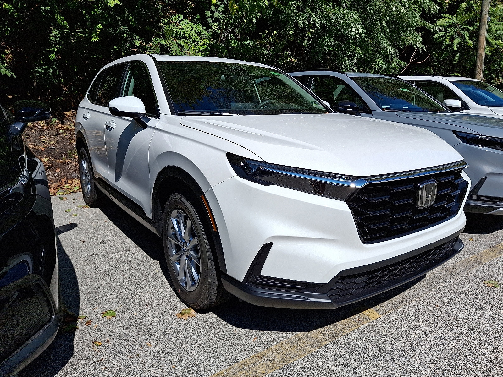 2026 Honda CR-V EX photo 3