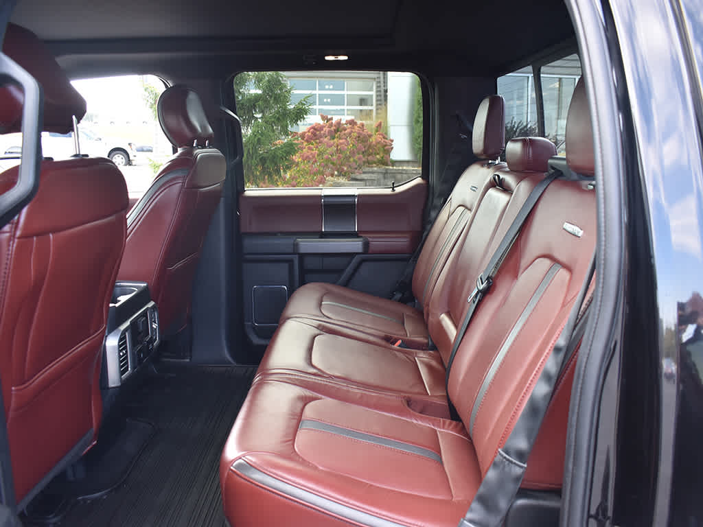 2020 Ford F-150 Platinum photo 6