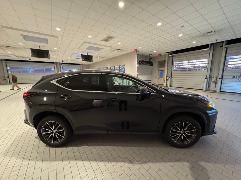 2024 Lexus NX 350h Premium photo 2