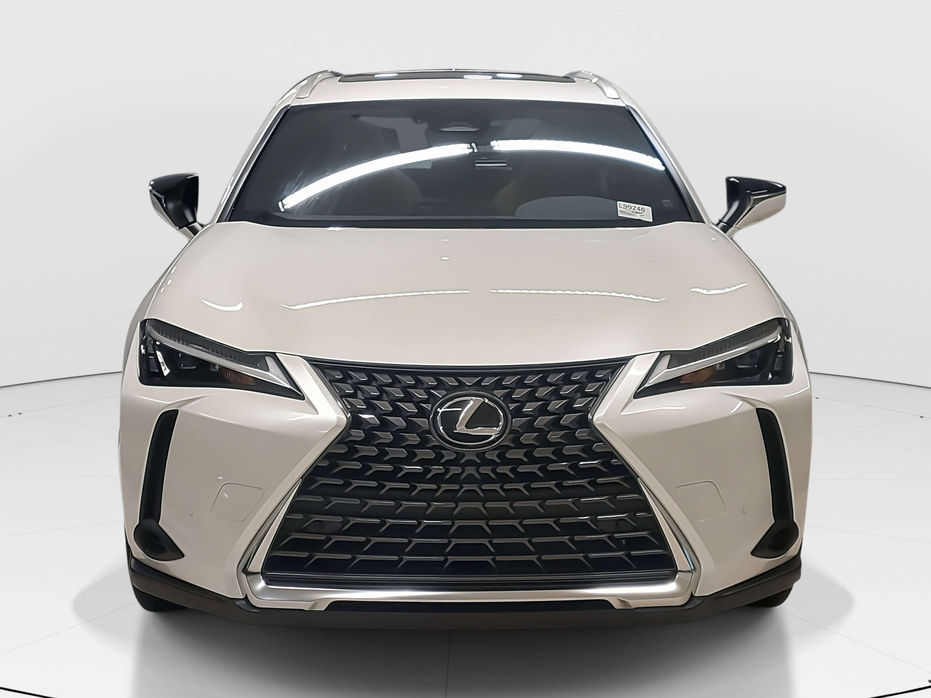 2025 Lexus UX Premium photo 2