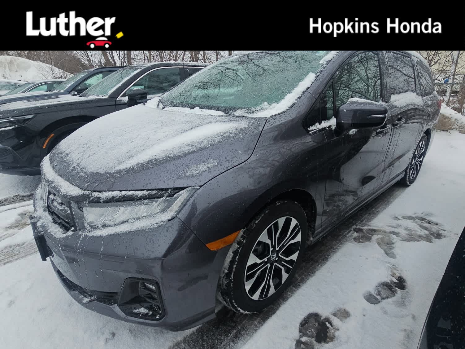 2026 Honda Odyssey Elite's photo