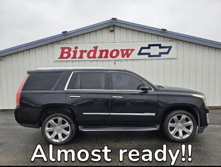 Used 2019 BLACK RAVEN Cadillac Luxury image 1