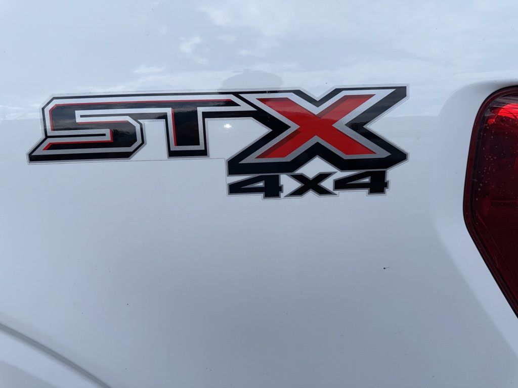 2023 Ford F-150 XL photo 12