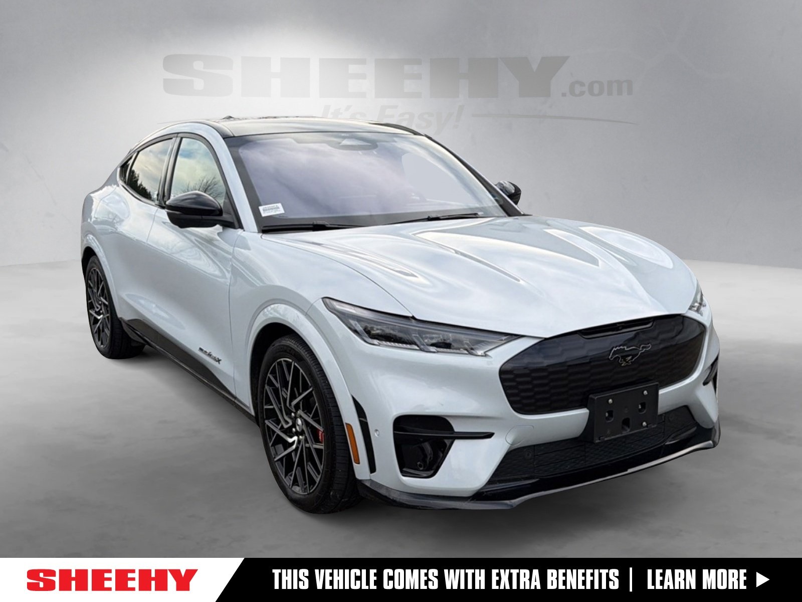 2022 Ford Mustang-Mach-e GT's photo