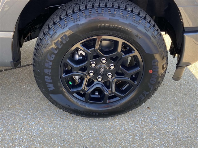 2025 Ford F-150 XLT photo 6