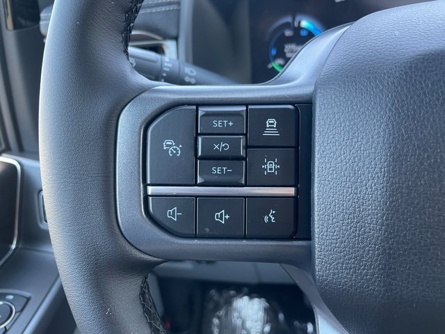 2025 Ford F-150 Lightning Flash photo 22