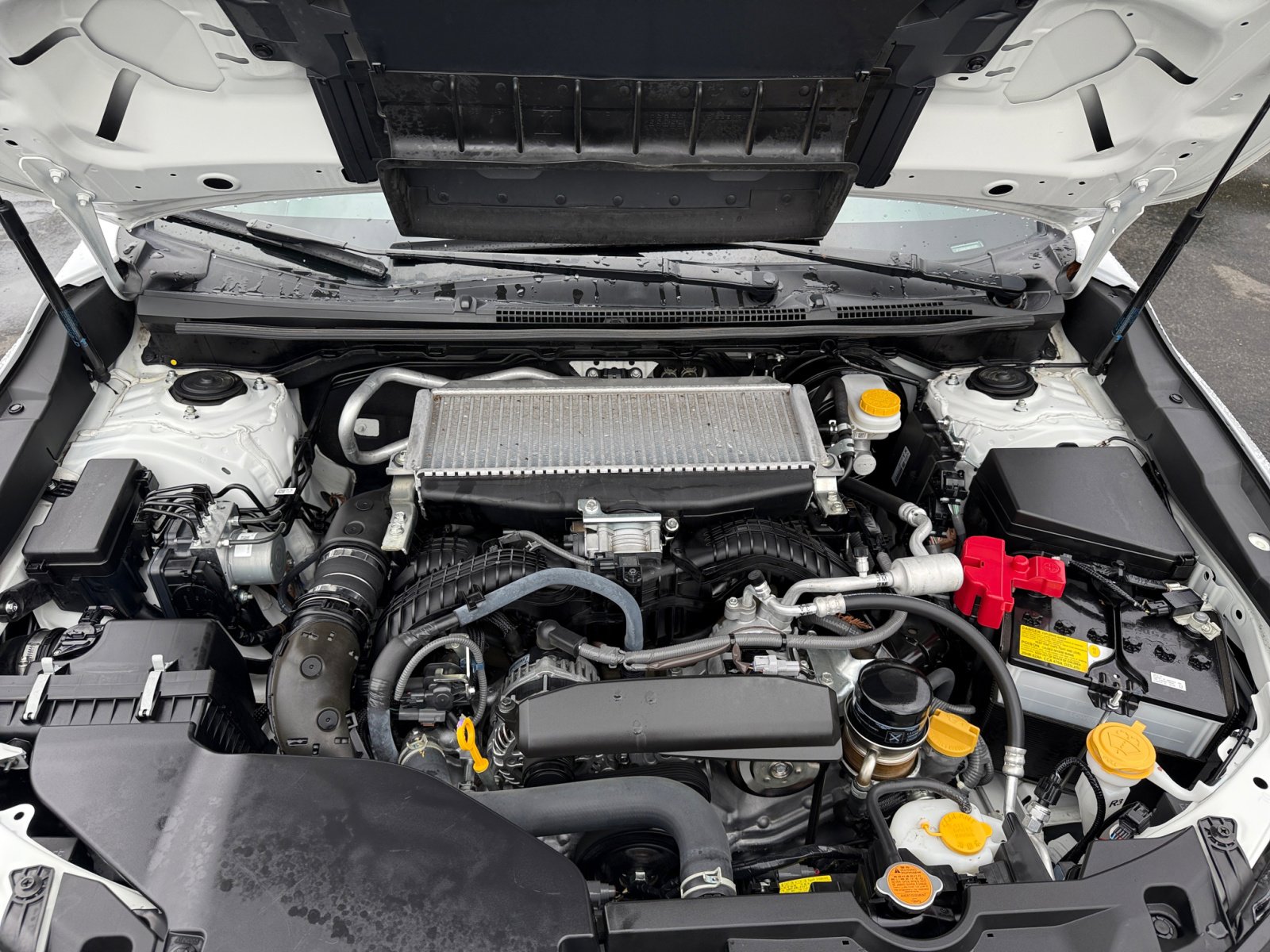 2022 Subaru WRX Base photo 20