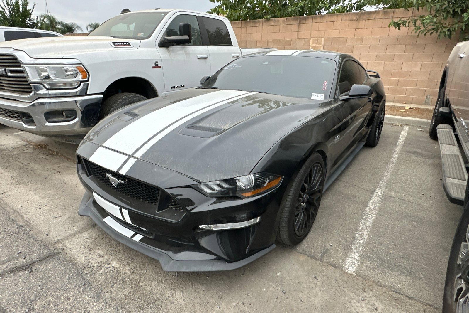 2021 Ford Mustang GT Premium photo 2