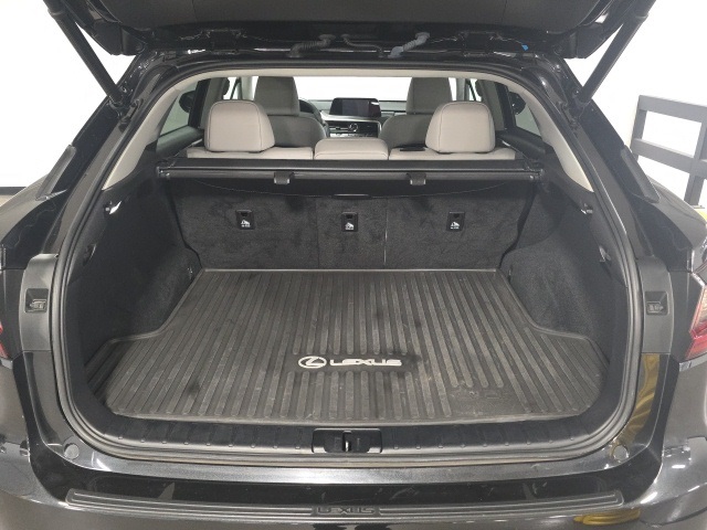 2022 Lexus RX 350 photo 19
