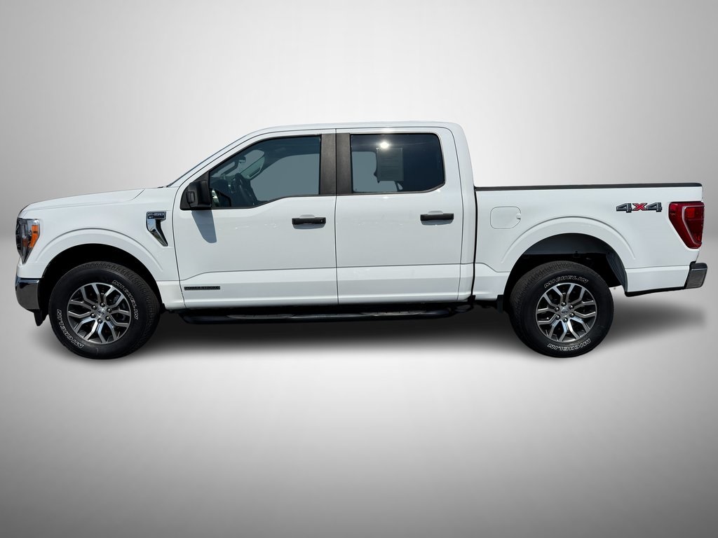 2021 Ford F-150 XLT photo 5
