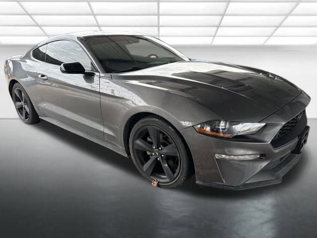 2021 Ford Mustang EcoBoost's photo