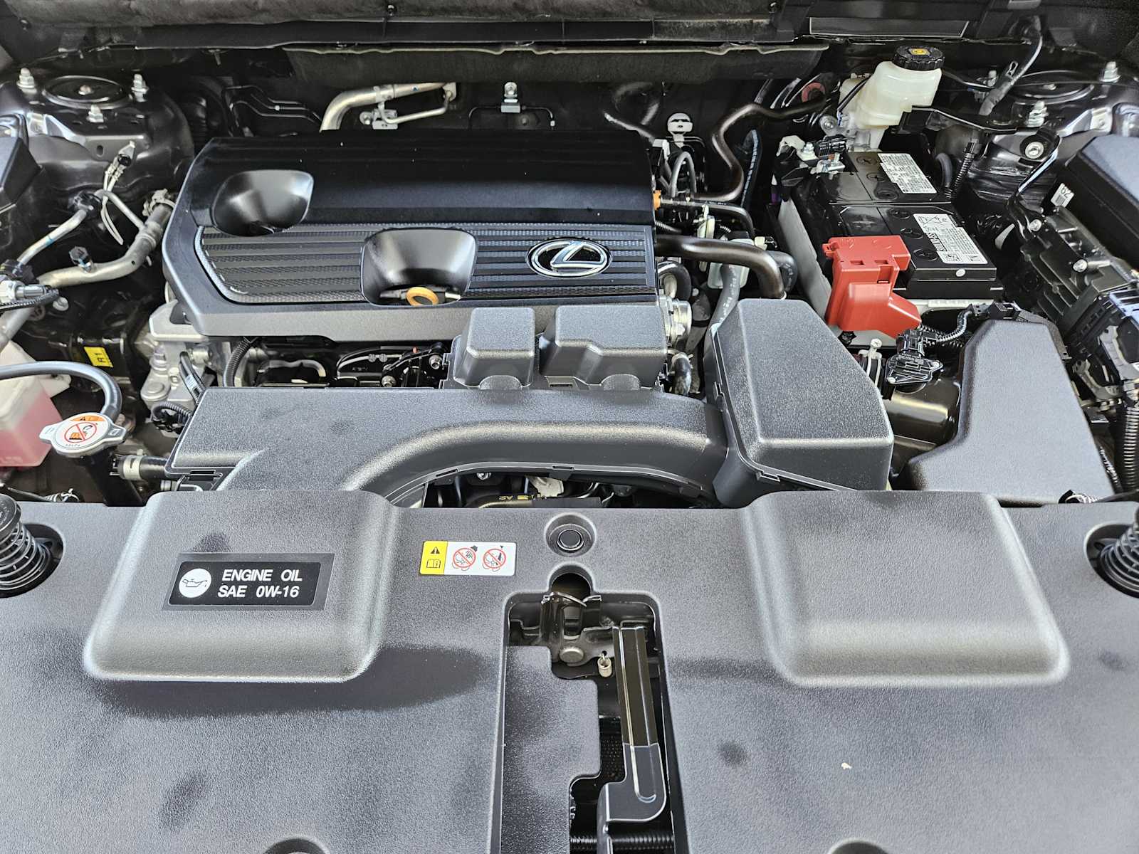 2025 Lexus NX 250 Premium photo 18