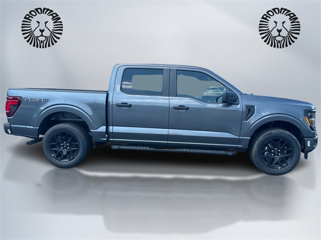 2025 Ford F-150 STX photo 3