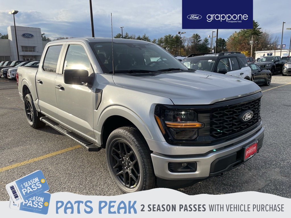 2025 Ford F-150 STX's photo