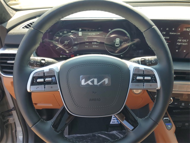2025 Kia Telluride SX Prestige X-Line photo 14