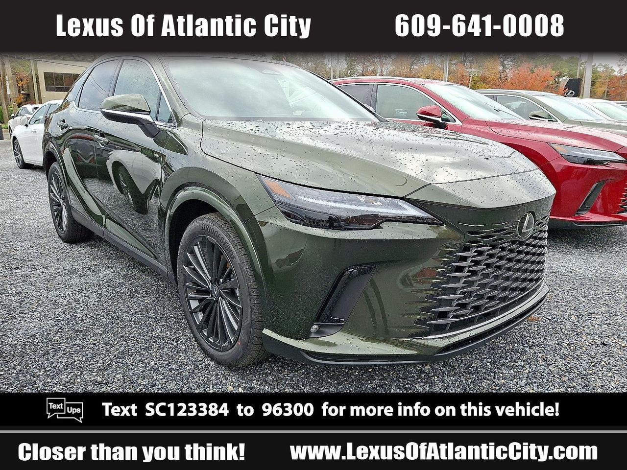 2025 Lexus RX 350's photo