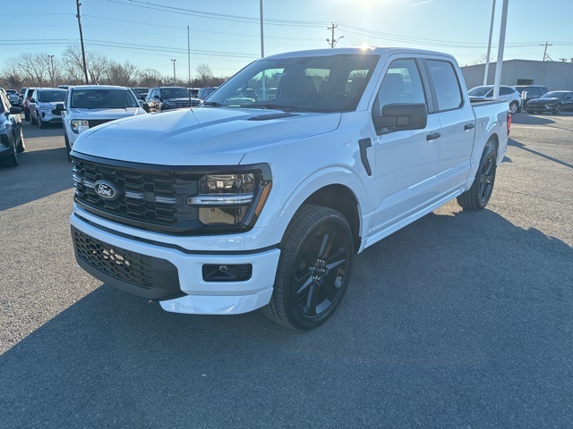 2025 Ford F-150 STX's photo