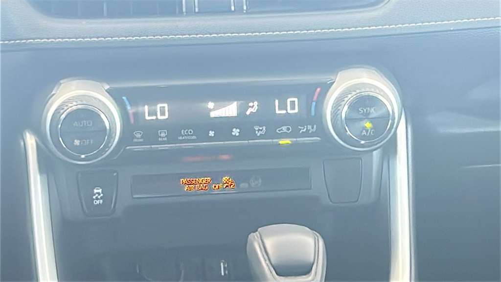 Certified Used 2019 Blue Toyota XLE image 10