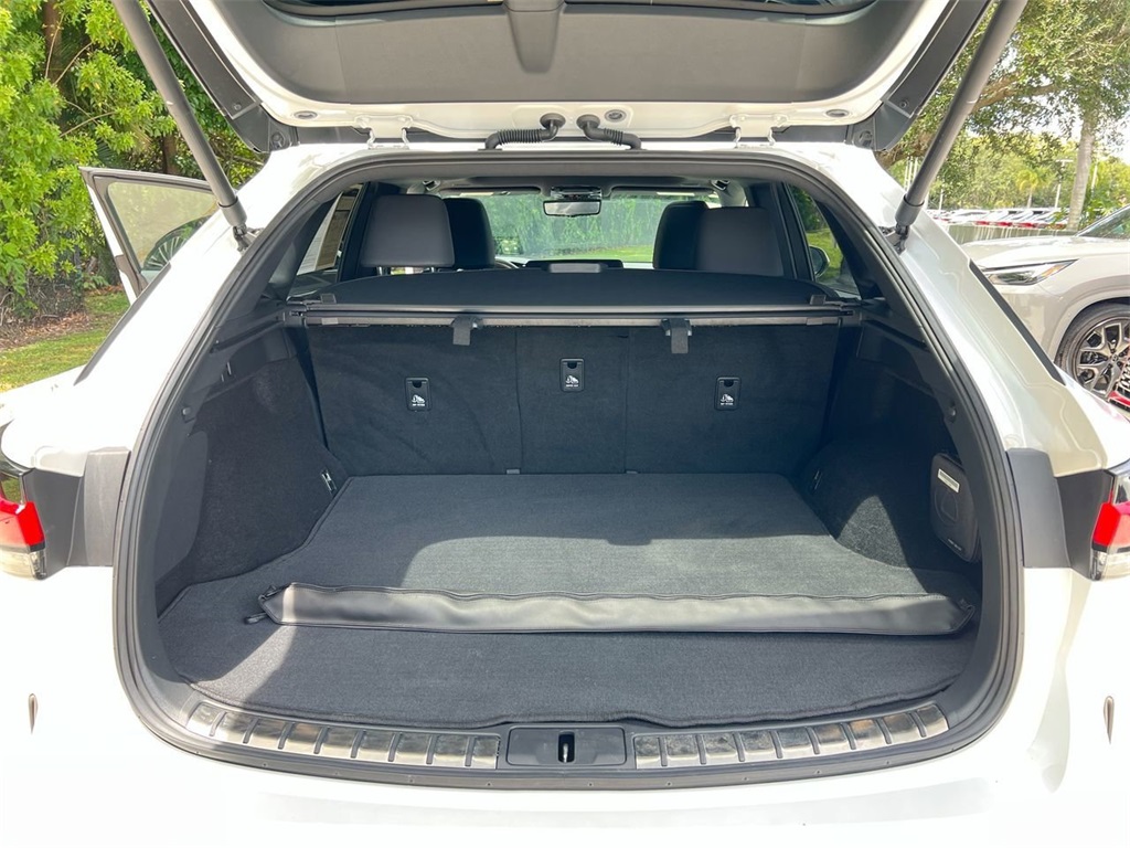 2024 Lexus RX 350 Premium photo 21