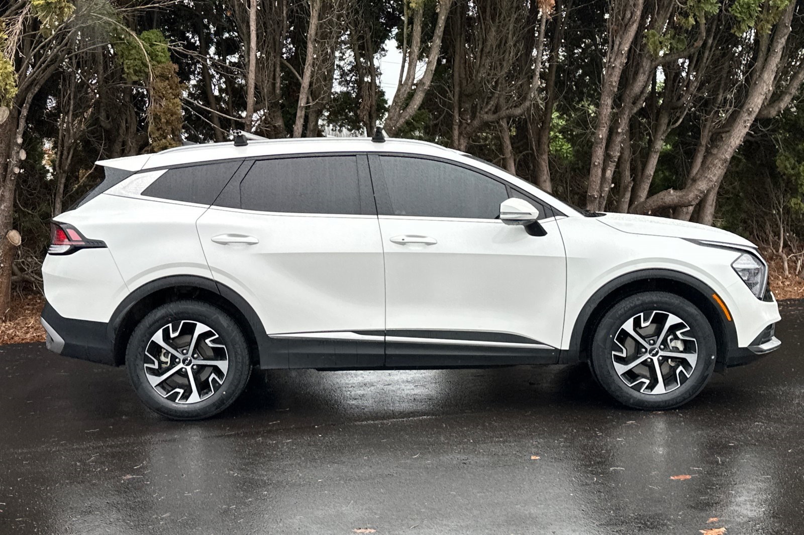 2023 Kia Sportage Hybrid EX photo 3