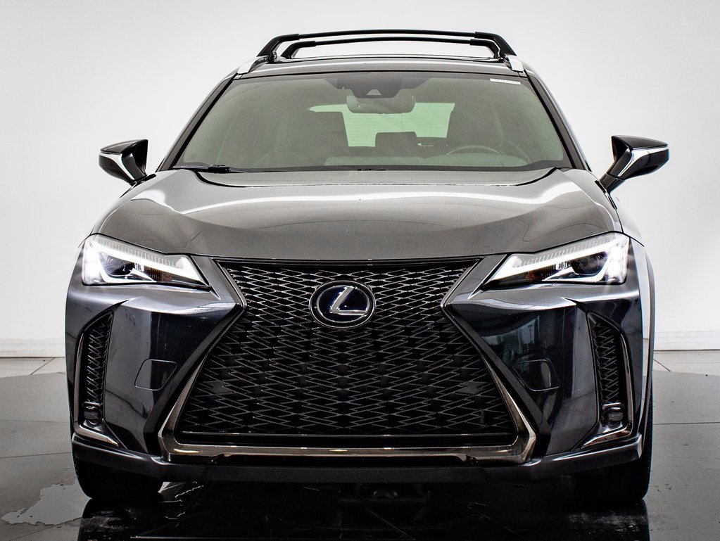 2019 Lexus UX Hybrid