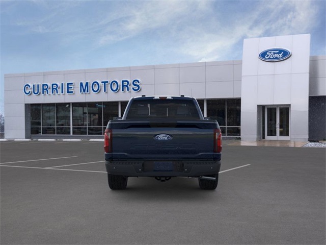 2025 FORD F-150 - Image 27
