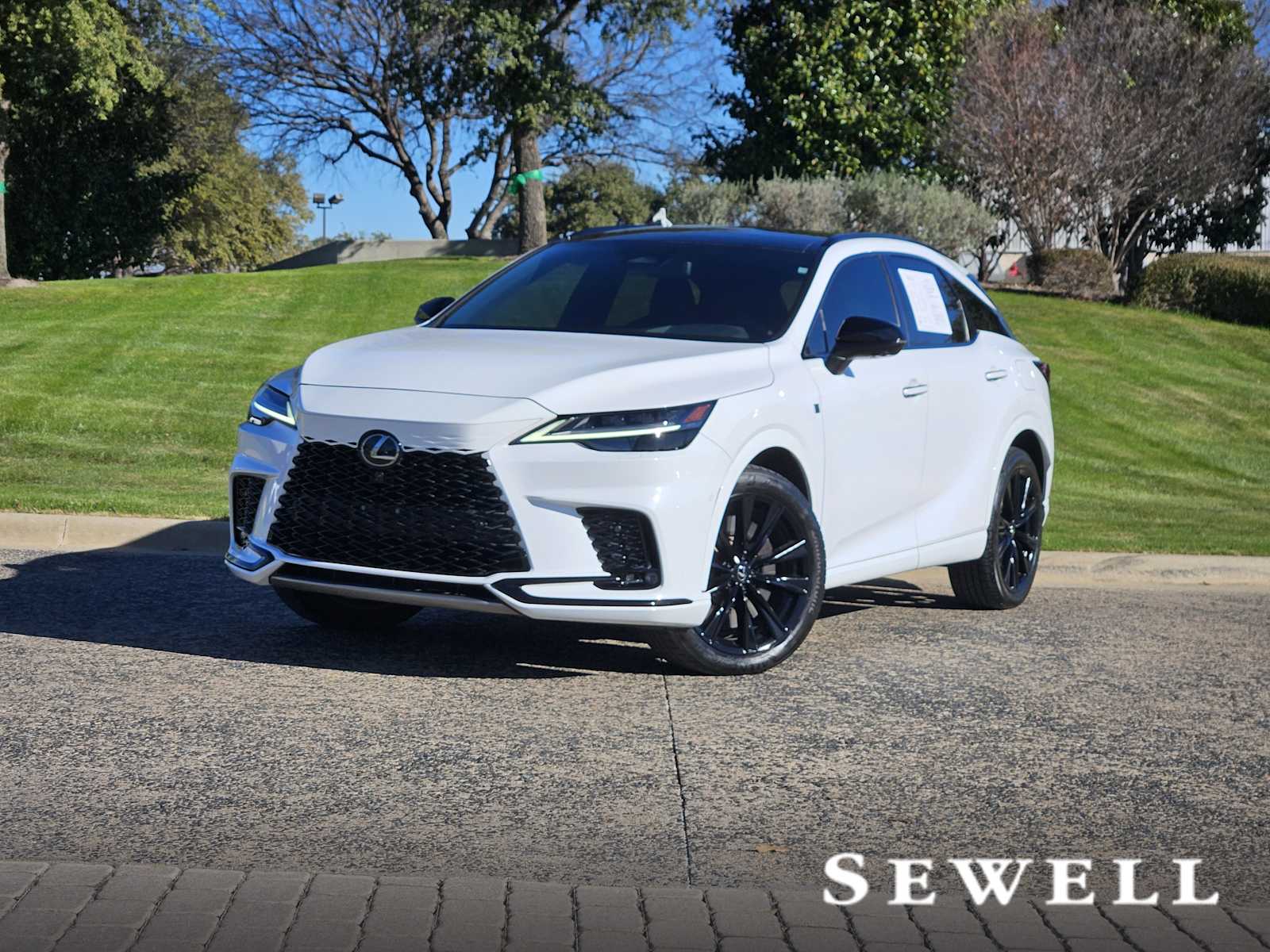 2024 Lexus RX Hybrid 500h's photo