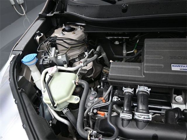 View 29