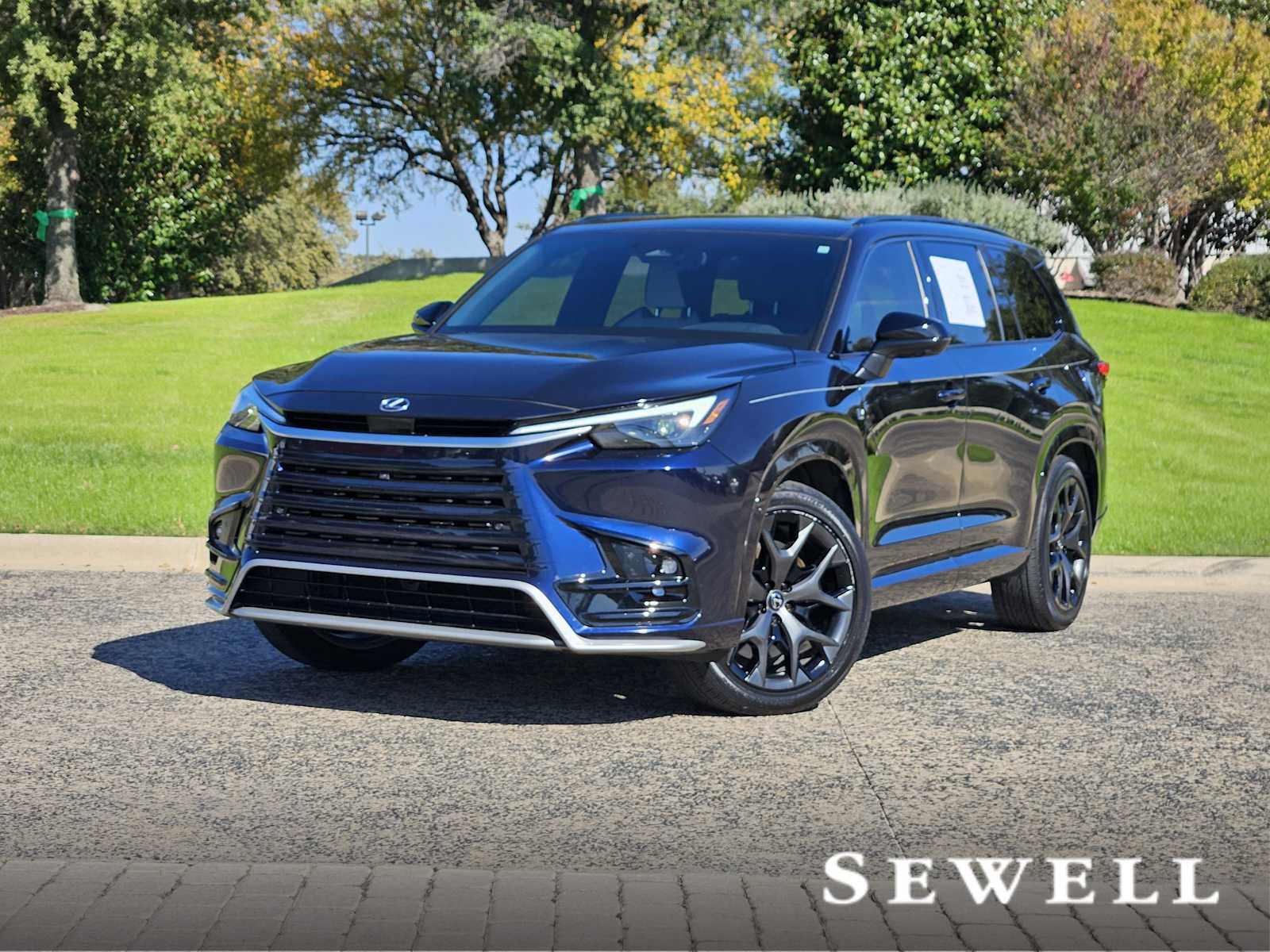 2024 Lexus TX Hybrid 500h's photo