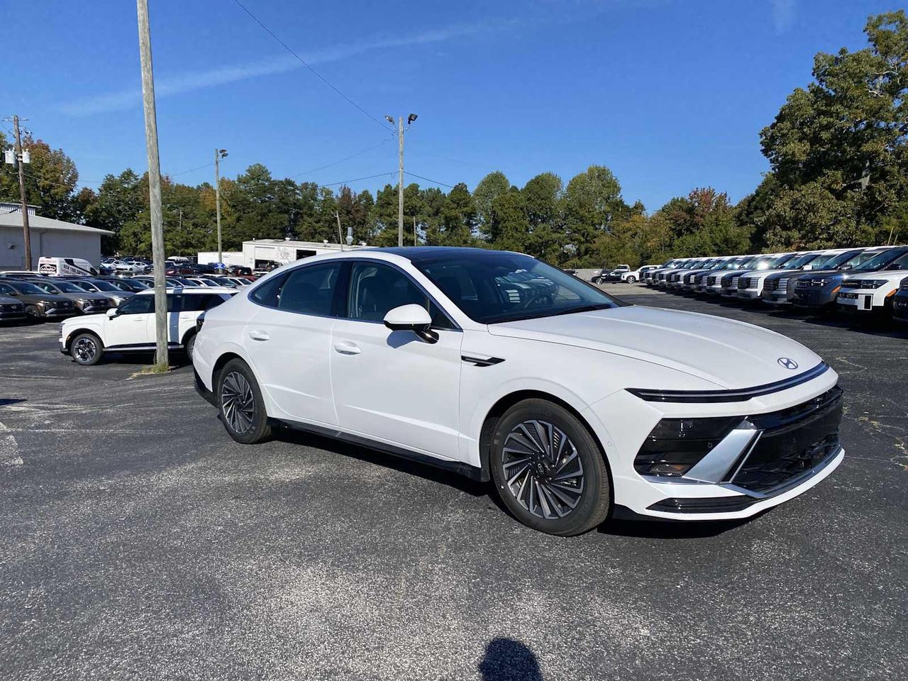 2025 Hyundai Sonata Hybrid Limited's photo