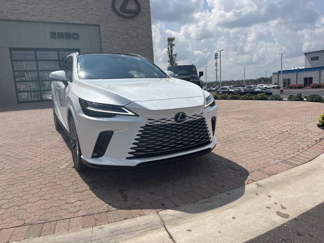2025 Lexus RX 350 Luxury photo 4