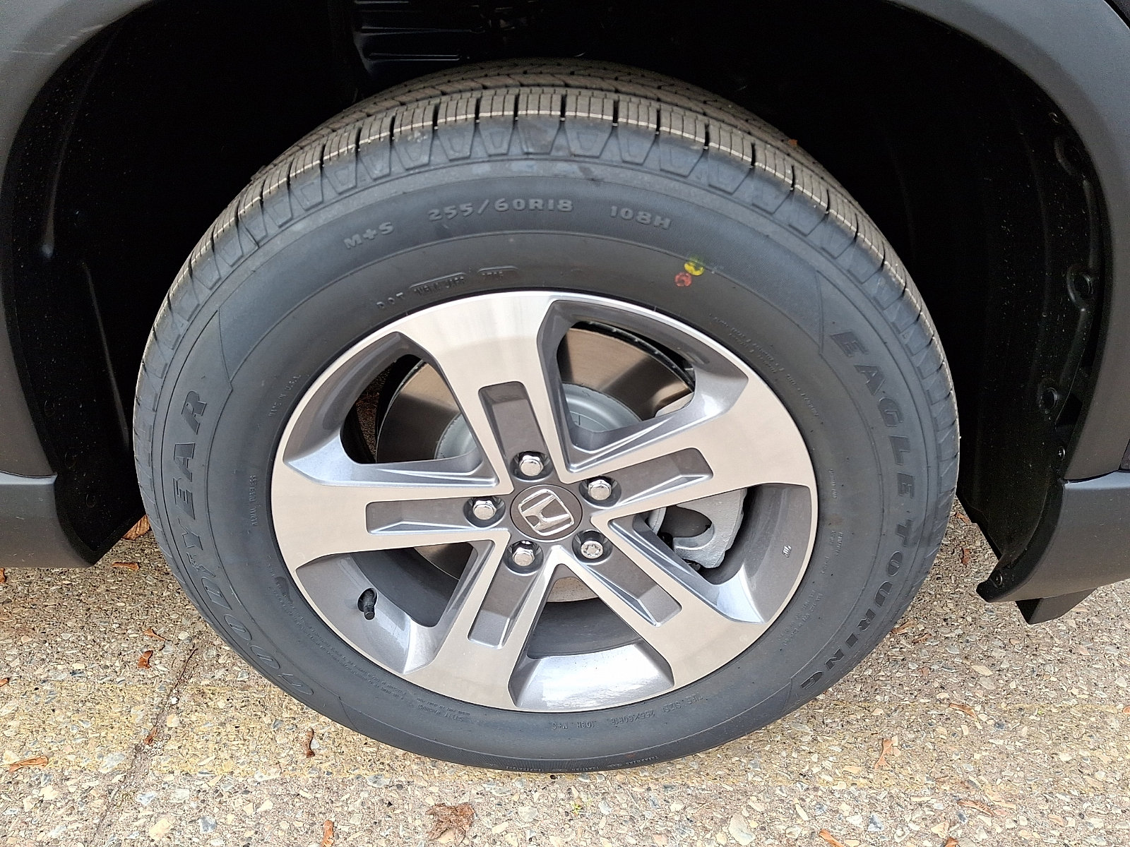 2025 Honda Pilot EX-L photo 3