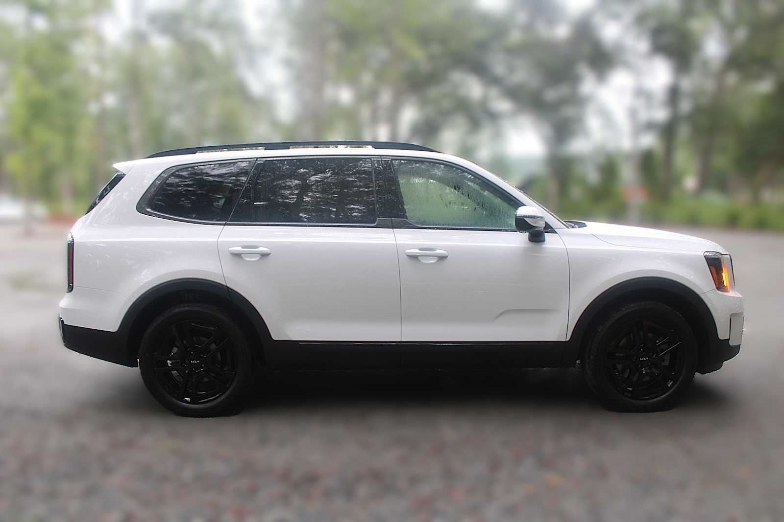 2025 Kia Telluride SX Prestige X-Line photo 13