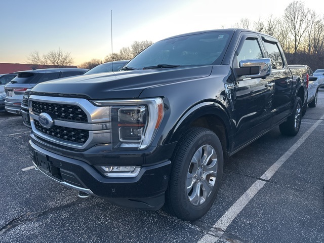 2021 Ford F-150 Platinum's photo