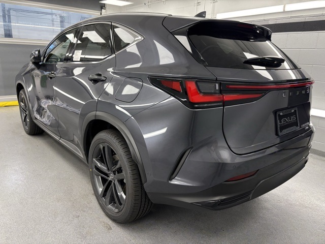 2025 Lexus NX 450h+ Luxury photo 3