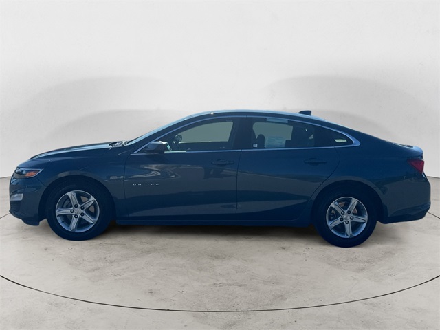 2024 Chevrolet Malibu 1LT photo 2
