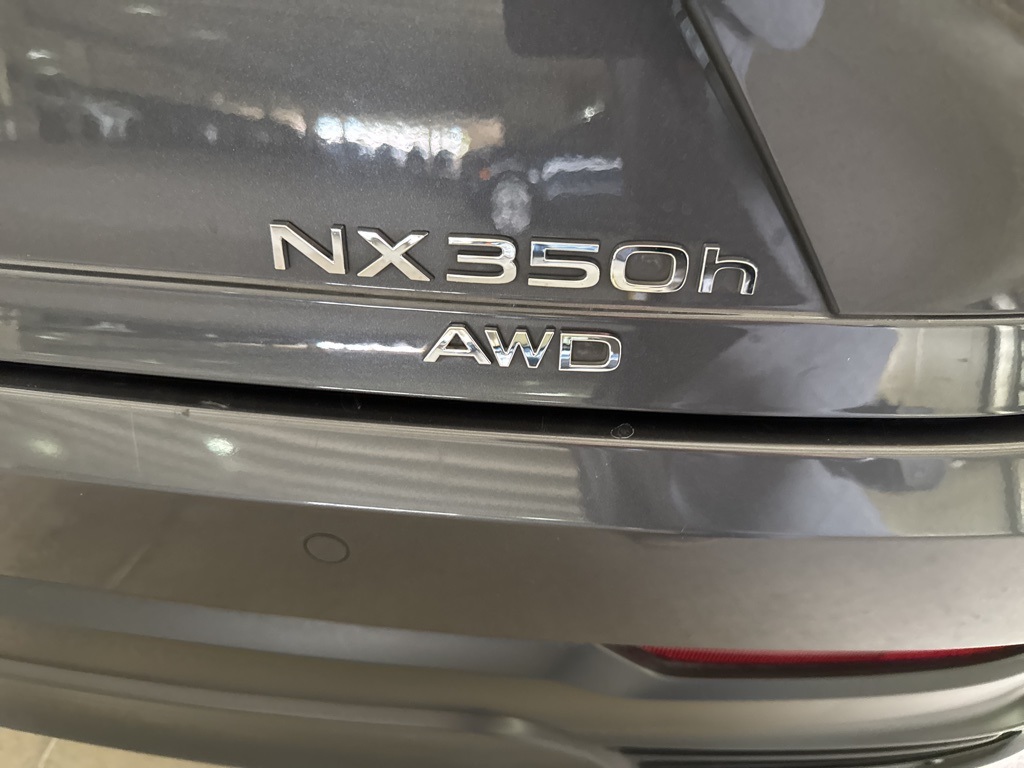 2025 Lexus NX 350h Premium photo 4