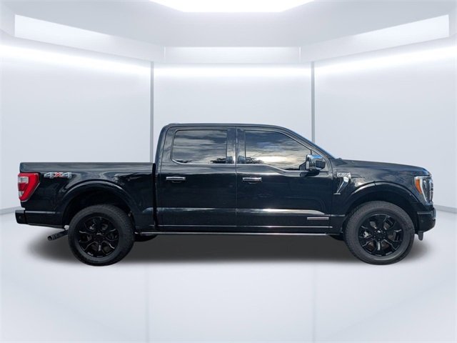 2021 Ford F-150 Platinum photo 2