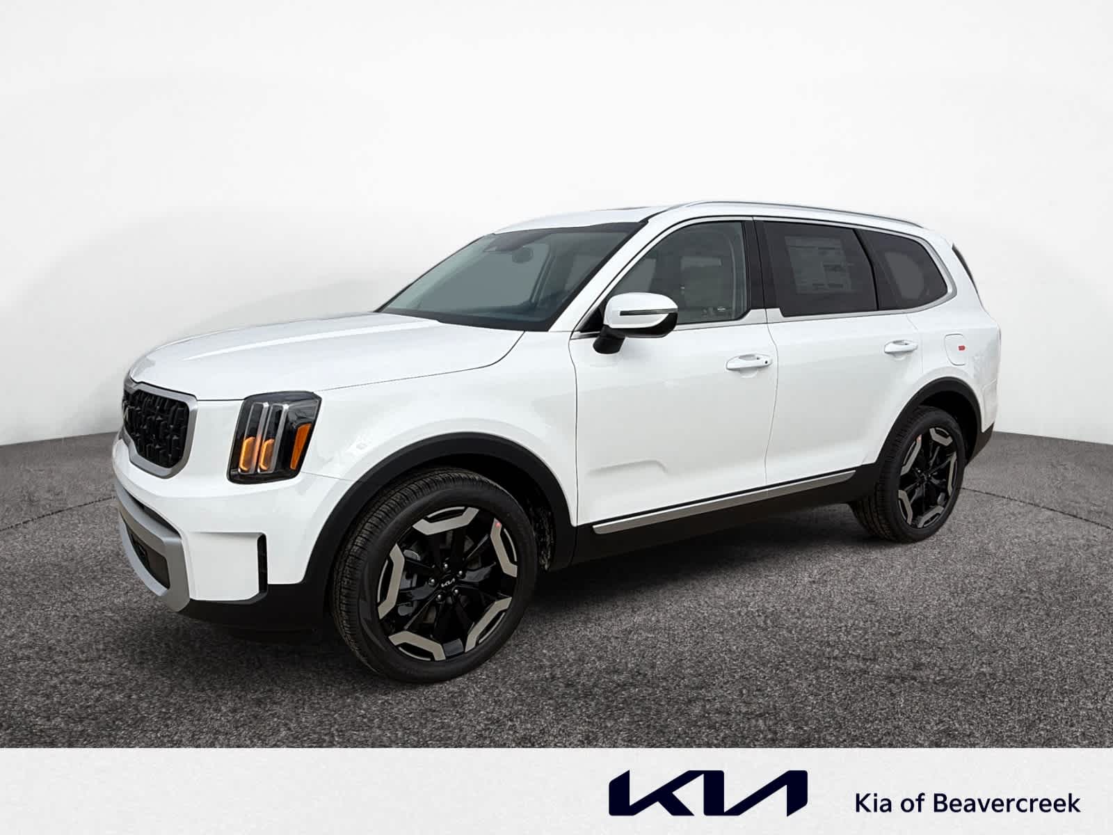 2025 Kia Telluride EX's photo