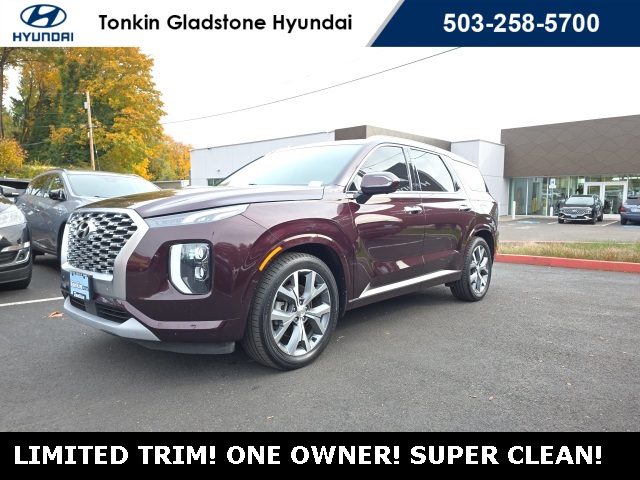 2021 Hyundai Palisade Limited photo 2
