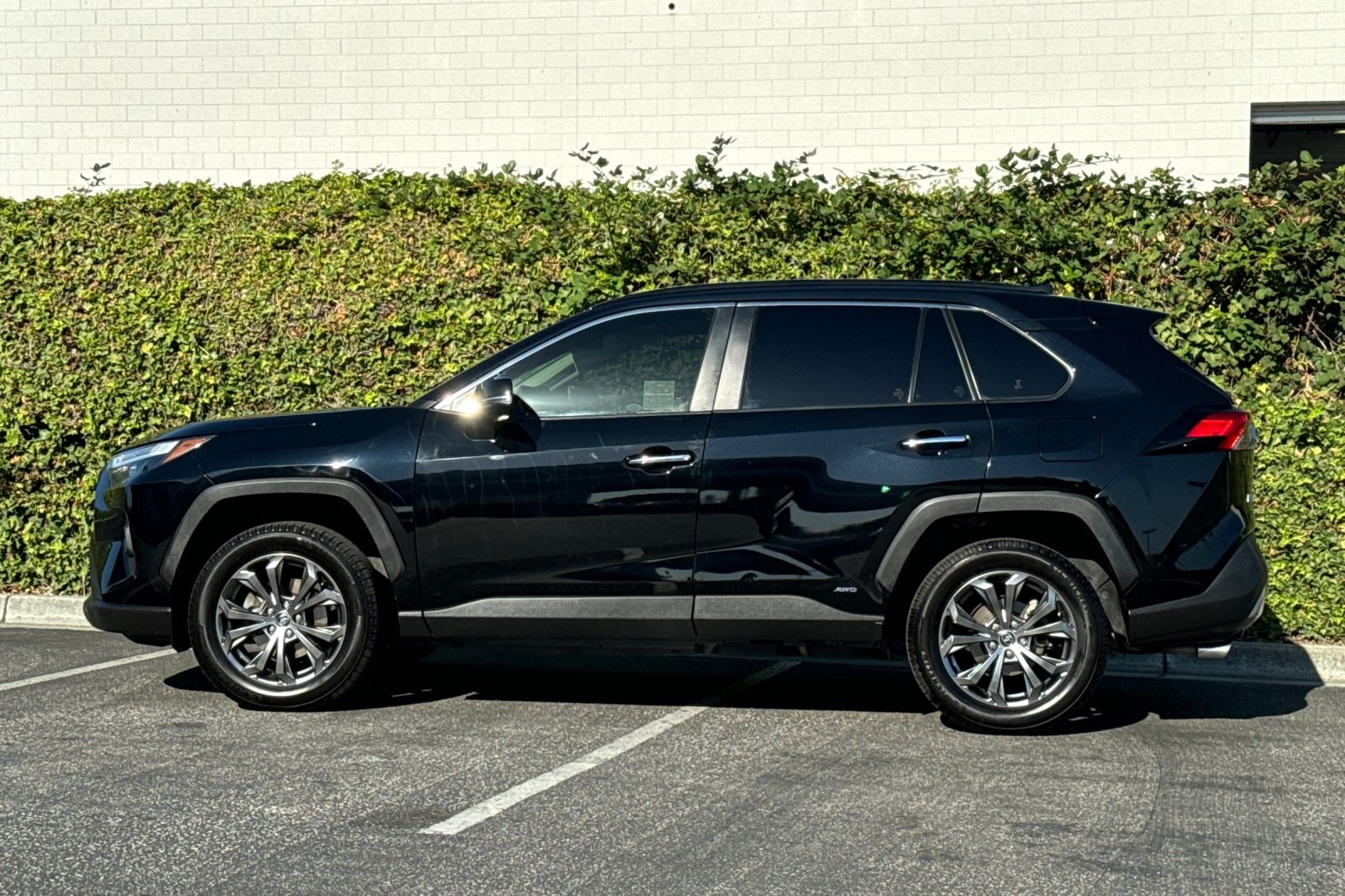 2023 Toyota RAV4 Hybrid Limited photo 5