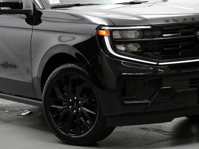 2025 Ford Expedition Platinum photo 2