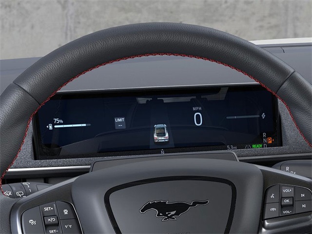 2025 Ford Mustang Mach-E Premium photo 13