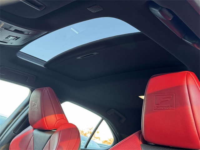 2021 Lexus UX 250h F SPORT photo 4