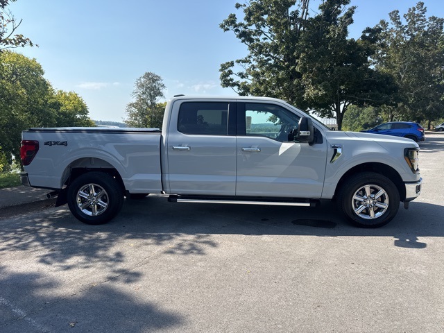 2024 Ford F-150 XLT photo 8