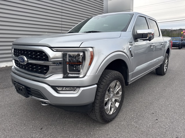 2021 Ford F-150 Platinum's photo