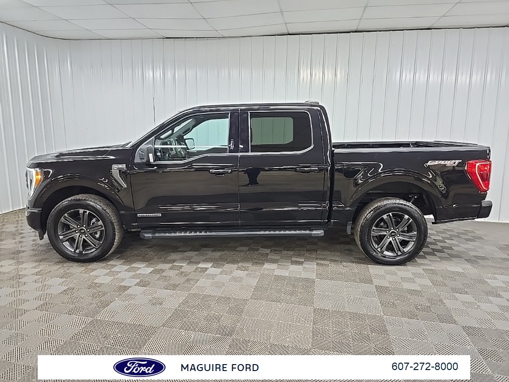 2023 Ford F-150 XLT photo 6
